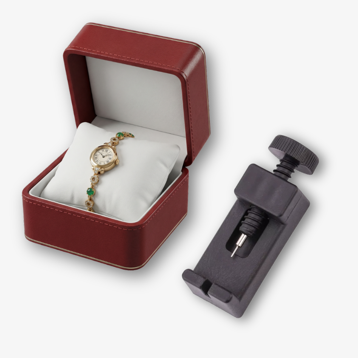 Travel Case + Watch Resizer