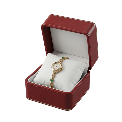 Watch Case